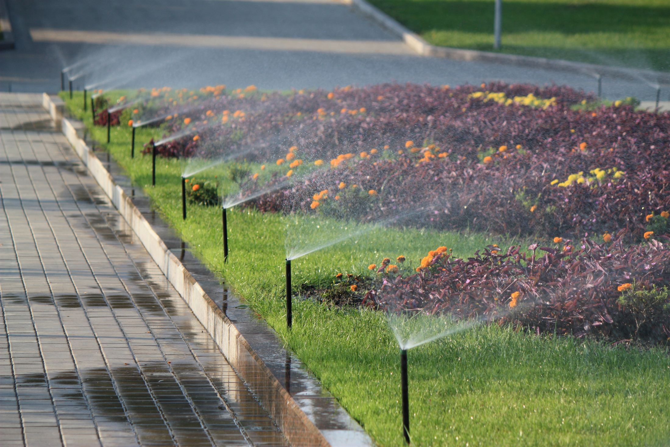 Парк Ленінського Комсомолу, фото 56